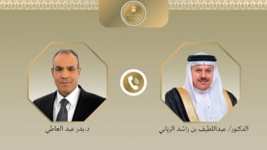 وزير الخارجية يبحث هاتفيًا مع نظيره البحريني سبل احتواء التصعيد الإقليمي