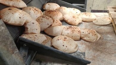 ثبات أسعار الخبز البلدي وتحديد أسعار الخبز السياحي والفينو بعد تحريك أسعار الوقود