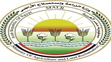 الزراعة ترفع حالة الاستعداد القصوى لاستقبال عيد الفطر وتكثف جهود توفير السلع الغذائية