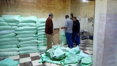 حملات تموينية بكفر الشيخ تسفر عن تحرير 76 محضرًا بحق المخابز المخالفة