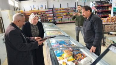 مصادرة 786 كيلو لحوم وأسماك غير صالحة للاستهلاك بالغربية