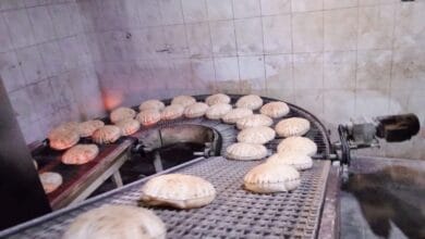 تحرير 19 محضر مخالفة ضد مخابز في حملات تموينية بالبحيرة