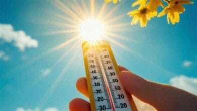 تحسن حالة الطقس بالبحيرة مع توقعات بشبورة مائية صباحية