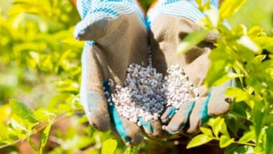 واشنطن تؤمّن إمدادات الأسمدة للمزارعين وسط اضطرابات الحرب