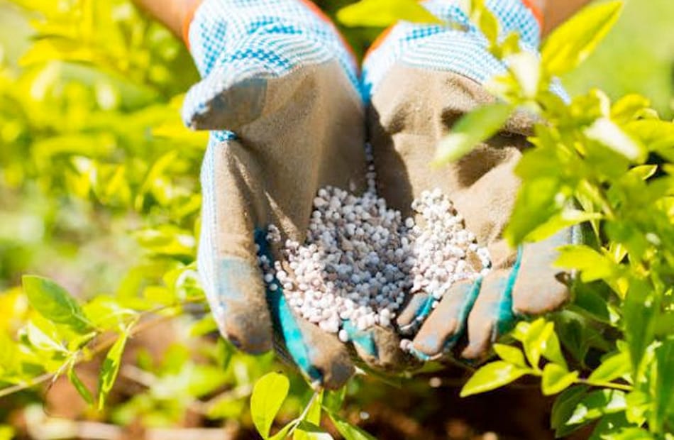 واشنطن تؤمّن إمدادات الأسمدة للمزارعين وسط اضطرابات الحرب