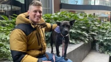 استخدام الذكاء الاصطناعي في تطوير لقاح لسرطان الكلاب