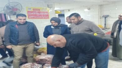 ضبط 5.5 طن لحوم ودهون غير صالحة للاستهلاك بالخانكة