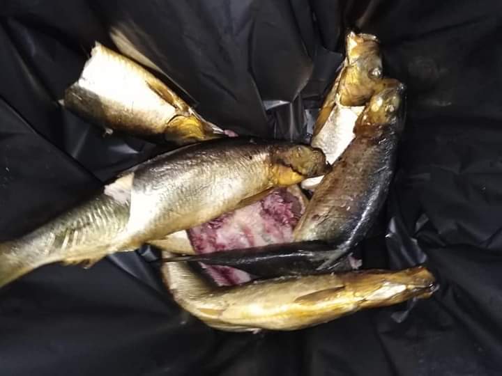 ضبط نصف طن فسيخ غير صالح للاستهلاك في الغربية