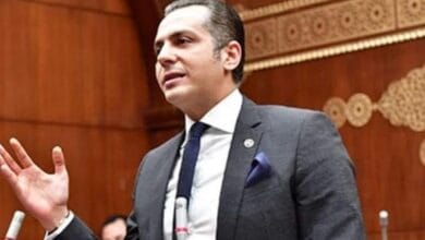 النائب أحمد عبدالجواد: أمن الخليج جزء لا يتجزأ من الأمن القومي المصري