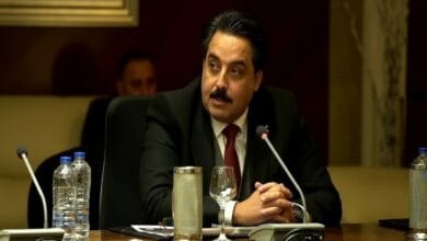 جولة الرئيس السيسي الخليجية تعكس ثقل مصر كحجر زاوية للأمن القومي العربي