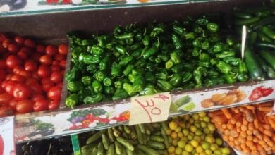 أسعار الخضروات والفاكهة في الغربية خلال أيام عيد الفطر