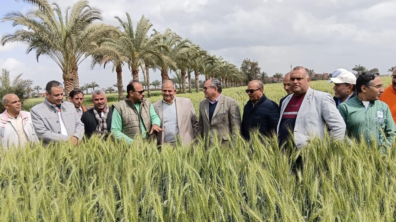 رئيس البحوث الزراعية يتفقد محطة الجميزة لمتابعة تطوير العمل البحثي والإنتاجي