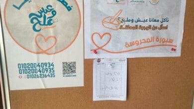 وزيرة التضامن تتابع مستجدات مبادرة "سبورة المحروسة"