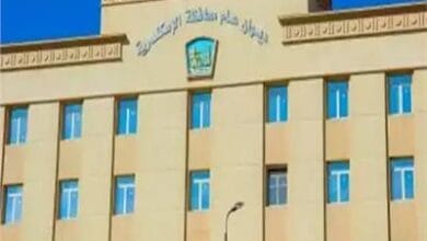 ربط إلكتروني جديد لمداخن "إيلاب" بالإسكندرية لتعزيز الرقابة البيئية