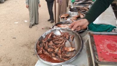 محافظ المنوفية: ضبط 420 كجم أسماك فاسدة و600 كجم دقيق مدعم خلال حملات تموينية