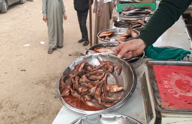 محافظ المنوفية: ضبط 420 كجم أسماك فاسدة و600 كجم دقيق مدعم خلال حملات تموينية