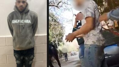 ضبط مؤجر خيول بالجيزة لاتهامه بالنصب على 3 أشخاص