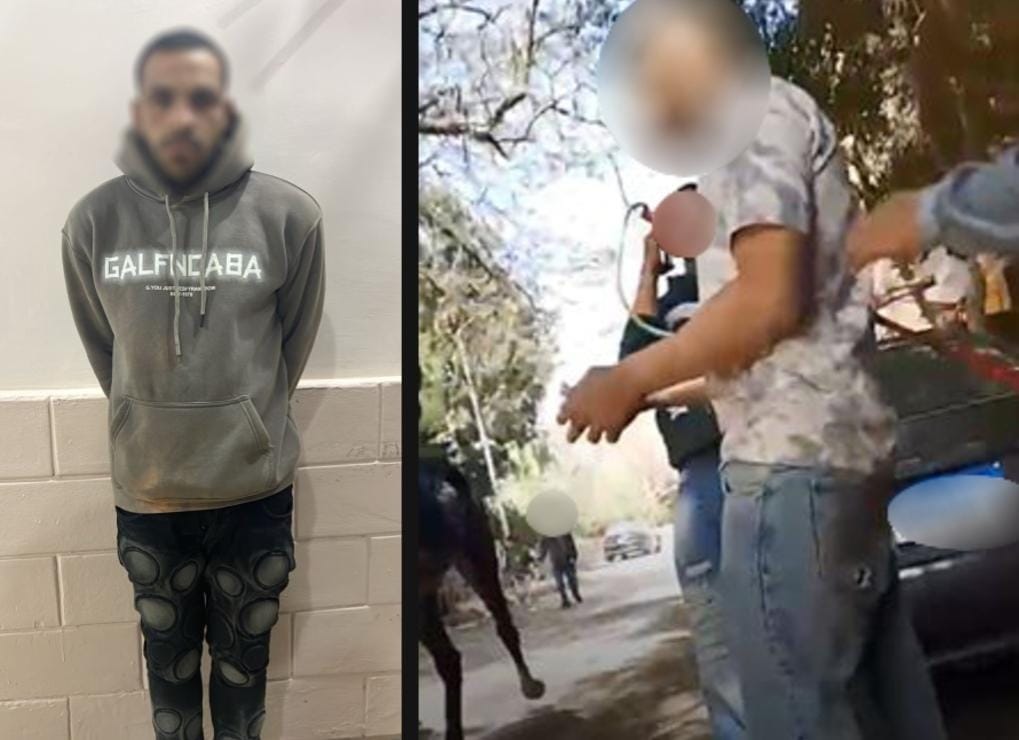 ضبط مؤجر خيول بالجيزة لاتهامه بالنصب على 3 أشخاص