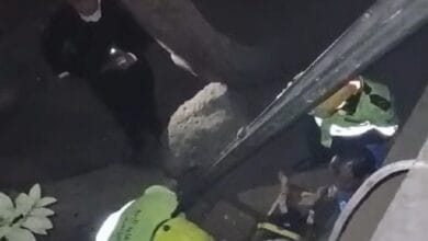 إنقاذ شخص سقط من أعلى سور بكورنيش المطرية