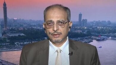 محمد أبو شامة: جهود مصر لخفض التصعيد في لحظة حاسمة من الحرب