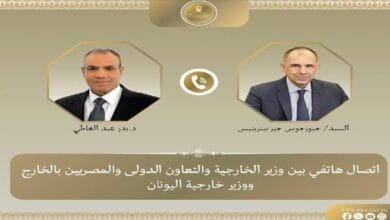 وزير الخارجية: المساس بسيادة دولة عربية يهدد الأمن القومي المصري