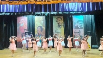 عروض فنون شعبية تحتفي بعيد الفطر بقصر ثقافة وادي النطرون