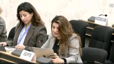 بعثة مصر بجنيف: ثقافة السلام ترتكز على فهم العلاقة بين السلام والأمن والتنمية وحقوق الإنسان