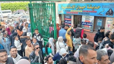 127 ألف زائر لـ11 حديقة حيوان وحديقة أسماك خلال عيد الفطر