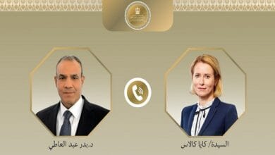 وزير الخارجية يبحث مع ممثلة الاتحاد الأوروبي خفض التصعيد بالقضية الفلسطينية