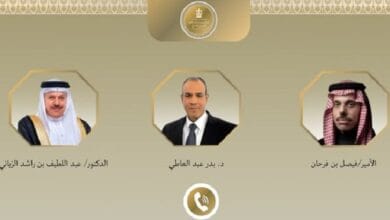وزير الخارجية يبحث هاتفيًا مع نظيريه السعودي والبحريني جهود خفض التصعيد وتضامن مصر الكامل مع دول الخليج
