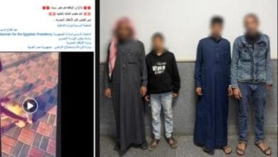 الأجهزة الأمنية تضبط طفلين لإشعال النار في كلب بجنوب سيناء