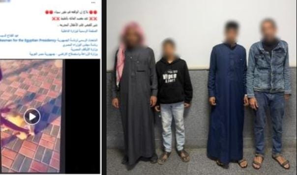 الأجهزة الأمنية تضبط طفلين لإشعال النار في كلب بجنوب سيناء