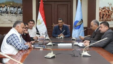 محافظ البحر الأحمر يطلق استراتيجية لحماية الشعاب المرجانية وتعزيز الاستدامة