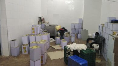 ضبط مصنع منتجات ألبان بدون ترخيص في دمنهور
