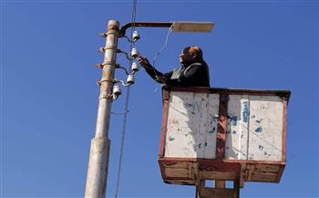 نفوق 5 كلاب صعقاً بكهرباء عامود إنارة في العاشر من رمضان