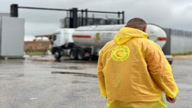 الهلال الأحمر المصري يرسل 60 ألف سلة غذائية وخيمة للأشقاء الفلسطينيين عبر قافلة "زاد العزة"