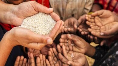 برنامج الغذاء العالمي: 45 مليون شخص إضافي يواجهون خطر الجوع مع استمرار التصعيد في الشرق الأوسط