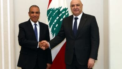 وزير الخارجية يلتقي الرئيس اللبناني في بيروت وينقل رسالة دعم من القيادة المصرية