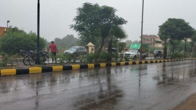 تحسن الأحوال الجوية في محافظة البحيرة مع توقع شبورة مائية ورياح قوية