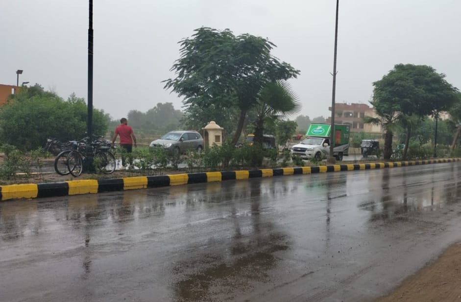 تحسن الأحوال الجوية في محافظة البحيرة مع توقع شبورة مائية ورياح قوية