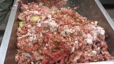 مصادرة 13 طناً من اللحوم والدواجن والأسماك غير الصالحة بالغربية