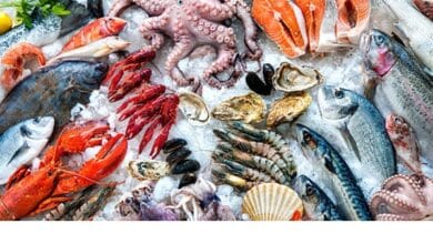 ارتفاع أسعار الأسماك والجمبري اليوم الجمعة 27 مارس 2026 في الإسكندرية