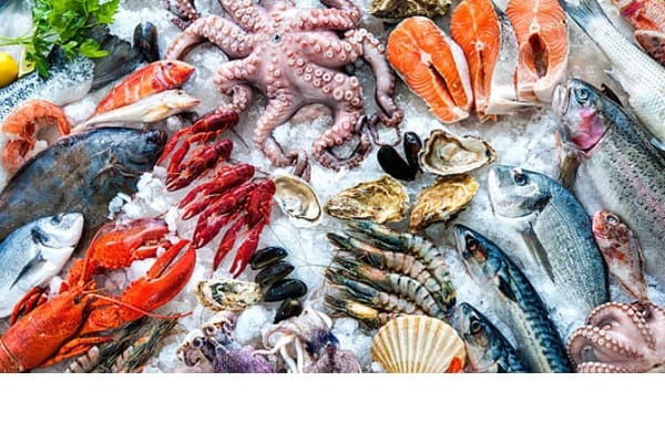 ارتفاع أسعار الأسماك والجمبري اليوم الجمعة 27 مارس 2026 في الإسكندرية