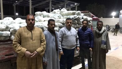 ضبط 6 أطنان سكر تمويني محظور تداوله في حملة مكثفة بمركز جهينة بسوهاج