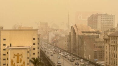 الأرصاد الجوية: ارتفاع تدريجي في درجات الحرارة ونشاط للرياح المثيرة للأتربة