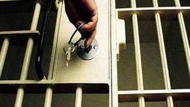 إخلاء سبيل أم فيديو "مرتبة الشباك" بالإسكندرية