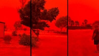 إعصار "ناريلى" يضرب غرب أستراليا ويعطل إنتاج الغاز المسال