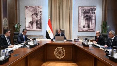 رئيس الوزراء: متابعة دورية للمخزون الاستراتيجي للأدوية وتوطين صناعتها