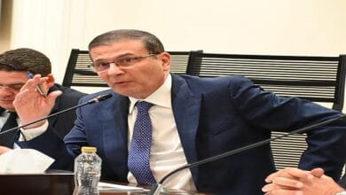 وزير الزراعة يستعرض استراتيجية الوزارة لتحقيق الأمن الغذائي أمام لجنة النواب