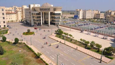 رئيس جامعة كفر الشيخ: برامج نوعية لتنمية مهارات التوظيف وريادة الأعمال